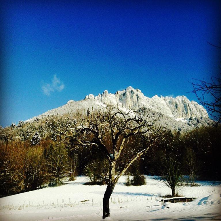 Village Vacances Les Alerions Talloires Exterior foto